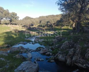 Exterior view of Land for sale in Deleitosa