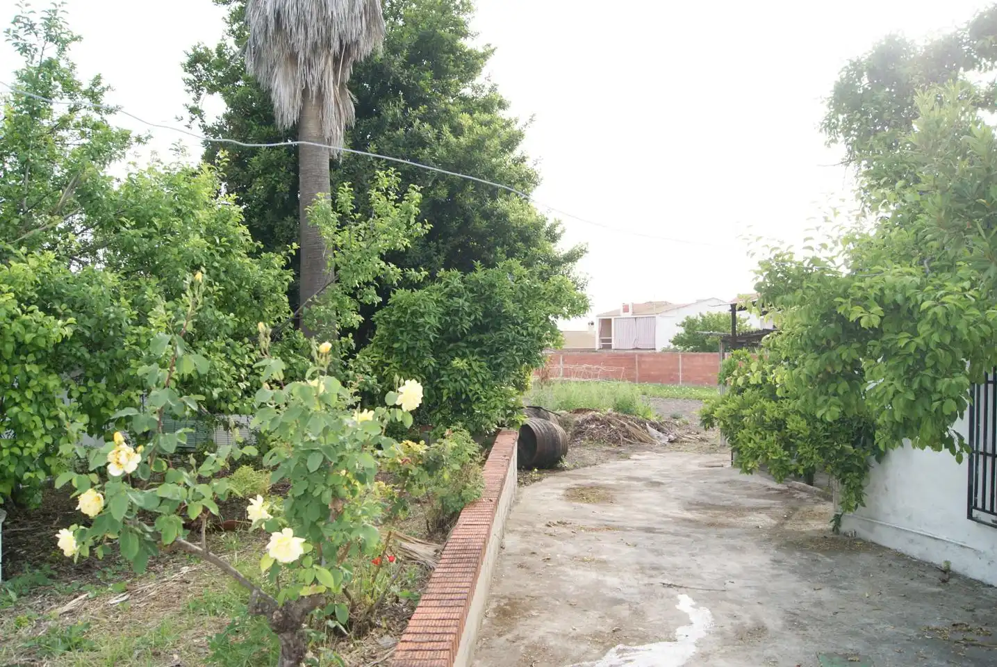Garten von Haus oder Chalet zum Verkauf in Lucena mit Klimaanlage, Privatgarten und Schwimmbad