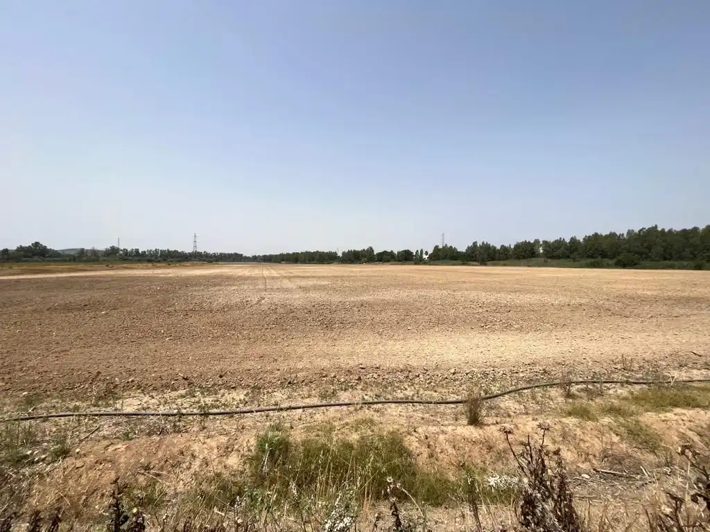 Terrenys i solars en venda a Carretera Cortes 4, imagen 9