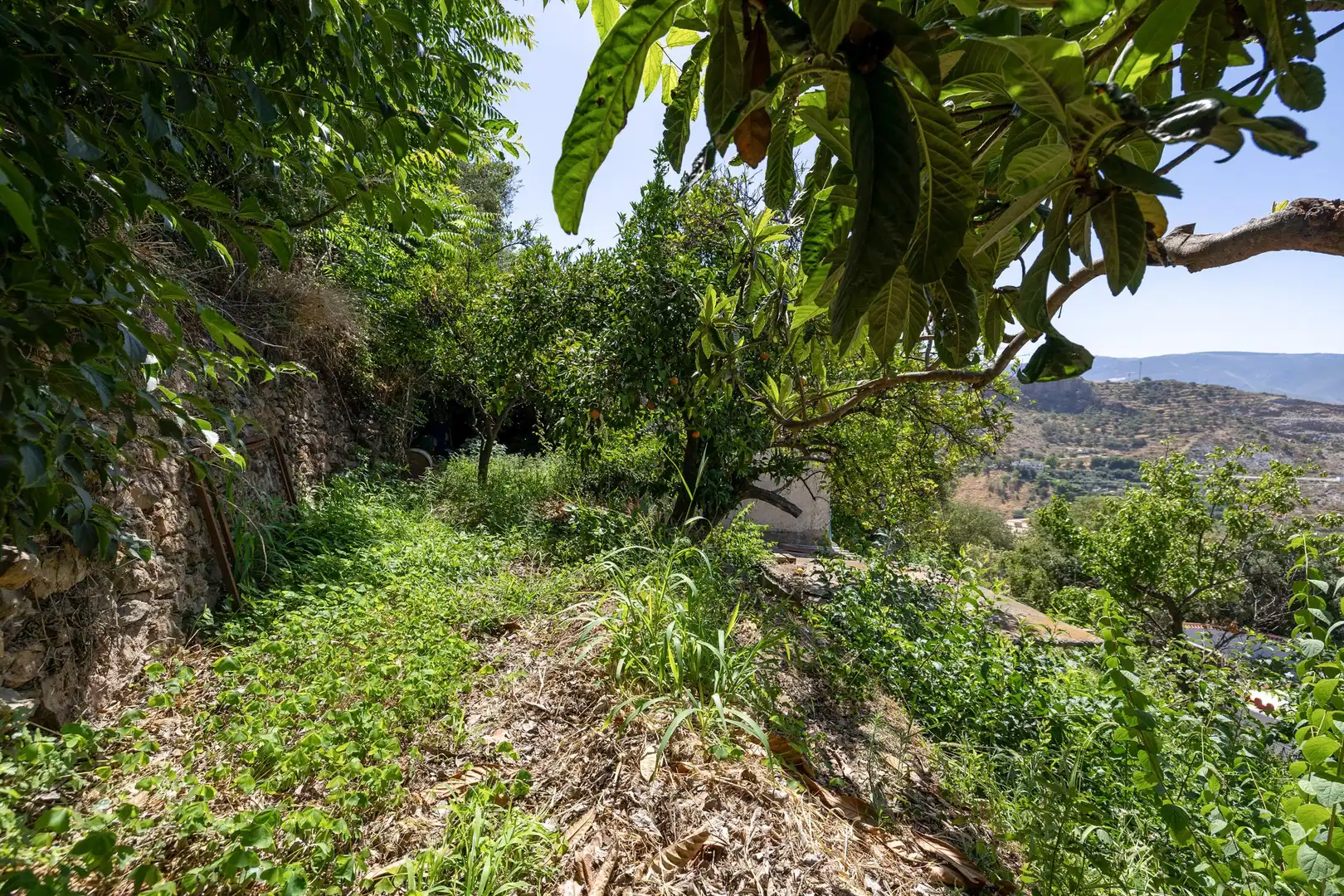 Country homes for sale in POLIGO NO 8 PARCELA 460 GRANADA LANJARON, Centro - Sagrario