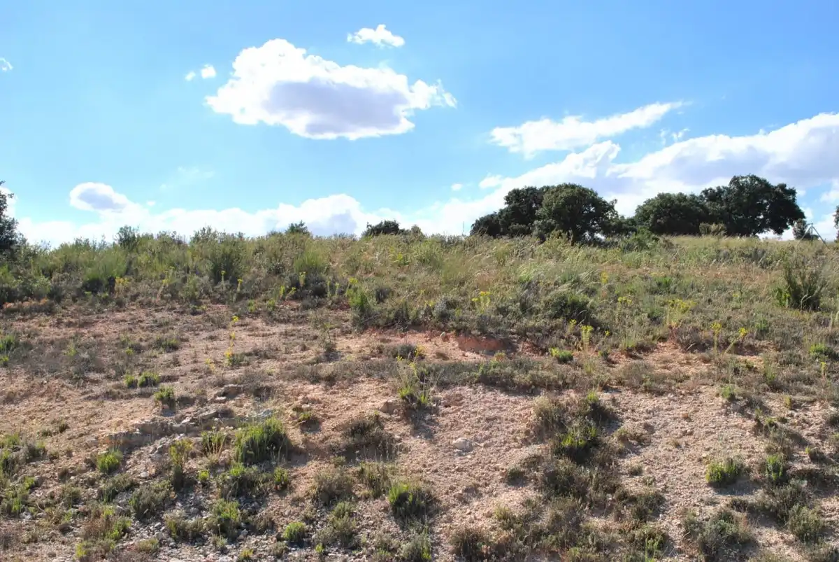 Residencial en venta en Loranca de Tajuña