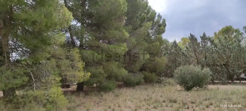 Terreno residenziale in vendita a Terreno Diseminados, imagen 4