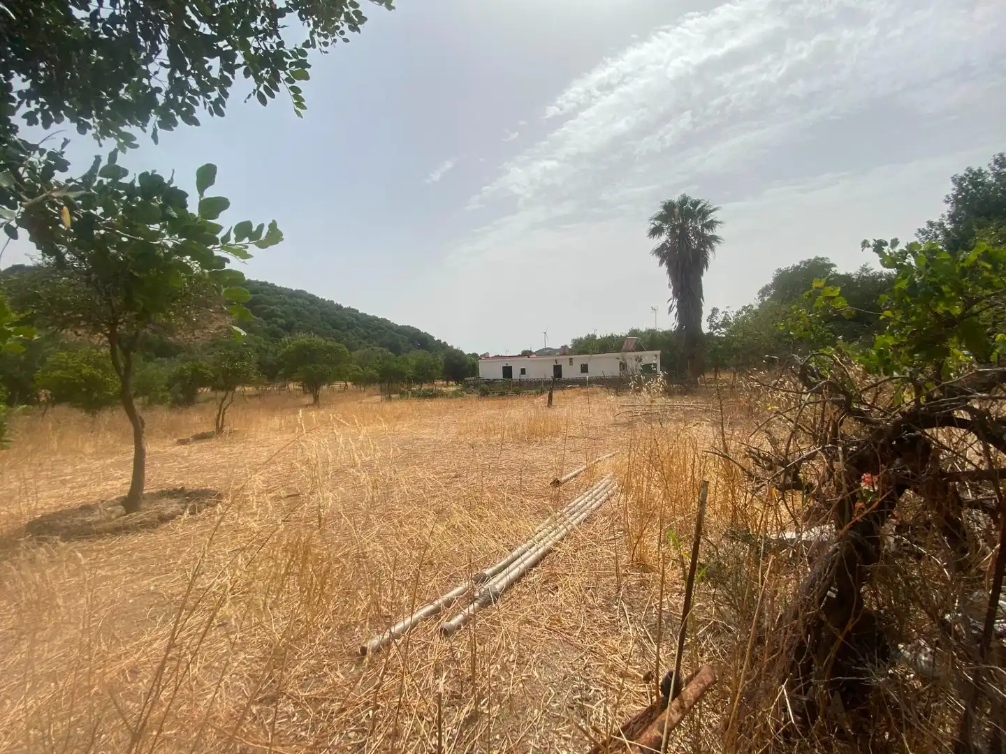 Terreni e lotti in vendita a Alcalá de los Gazules, imagen 83
