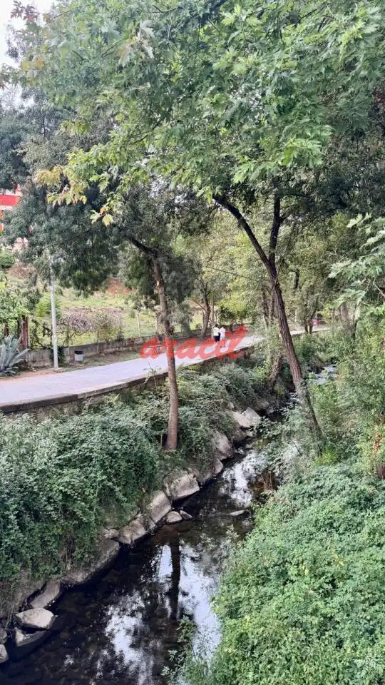 Vista exterior de Casa adosada en venda en Ourense Capital  amb Calefacció, Jardí privat i Parquet
