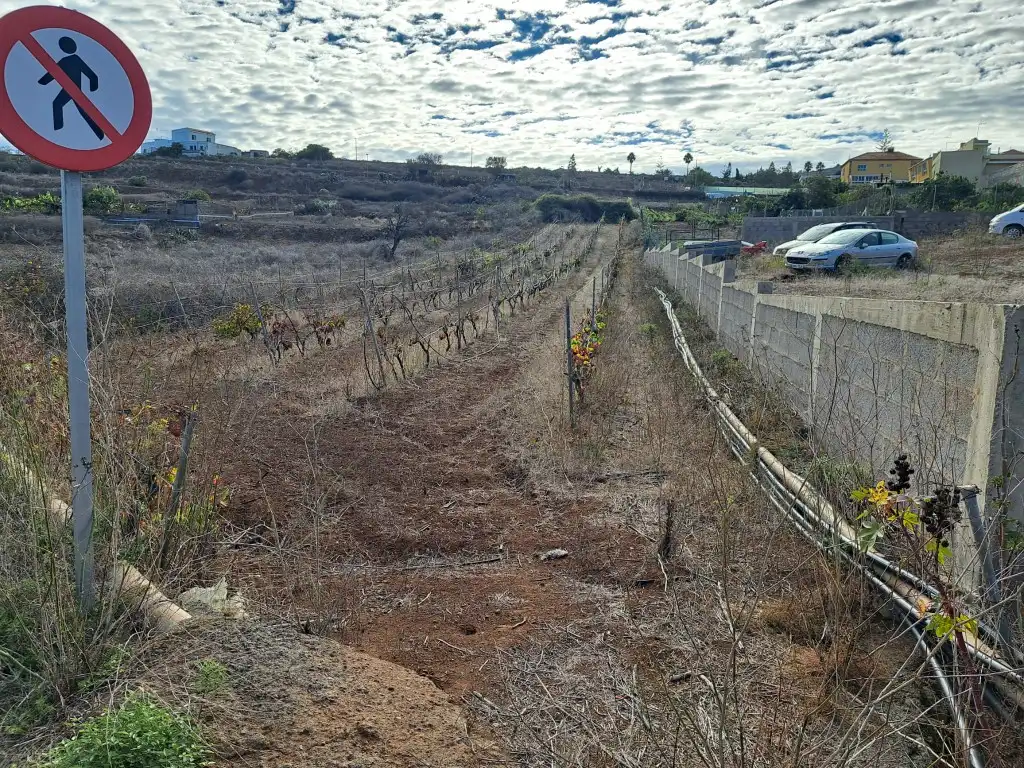 Rural land for sale in El Sauzal, imagen 29