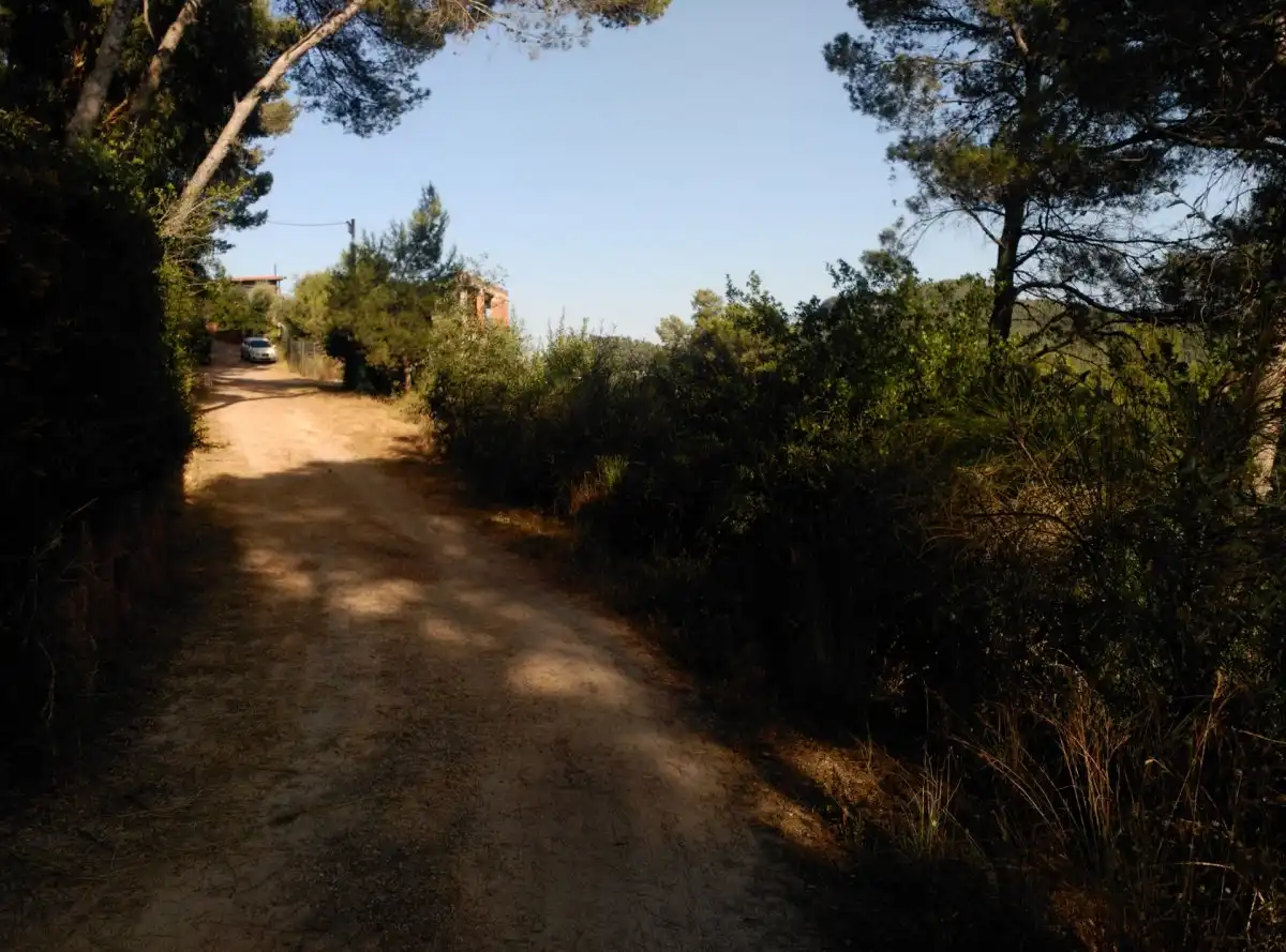 Terreni e lotti in vendita a Corbera de Llobregat, imagen 32
