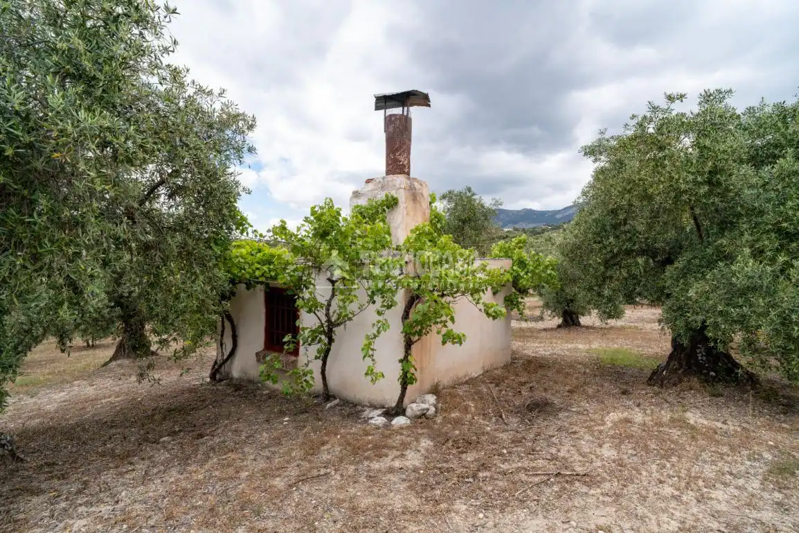 Terreni e lotti in vendita a Albaicín, imagen 18