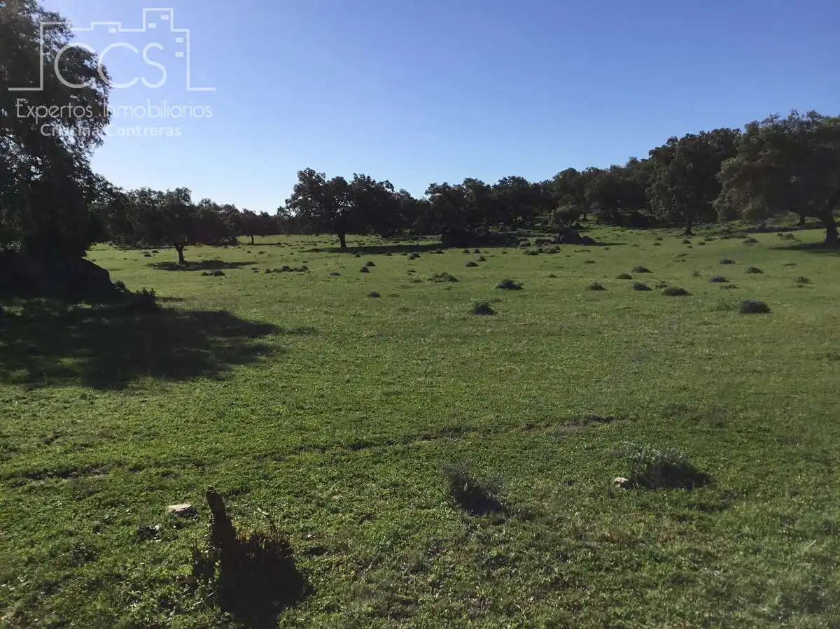Finca rústica en venda en El Pedroso amb Traster, Piscina i Moblat