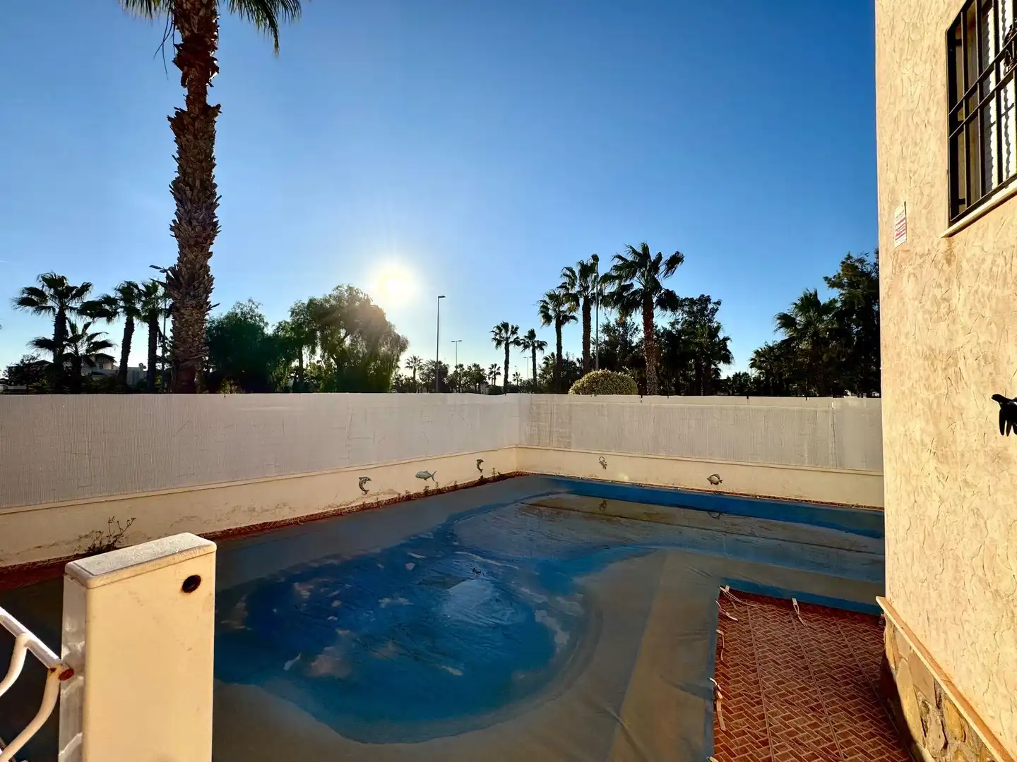Schwimmbecken von Haus oder Chalet zur Miete in Guardamar del Segura mit Klimaanlage, Privatgarten und Terrasse