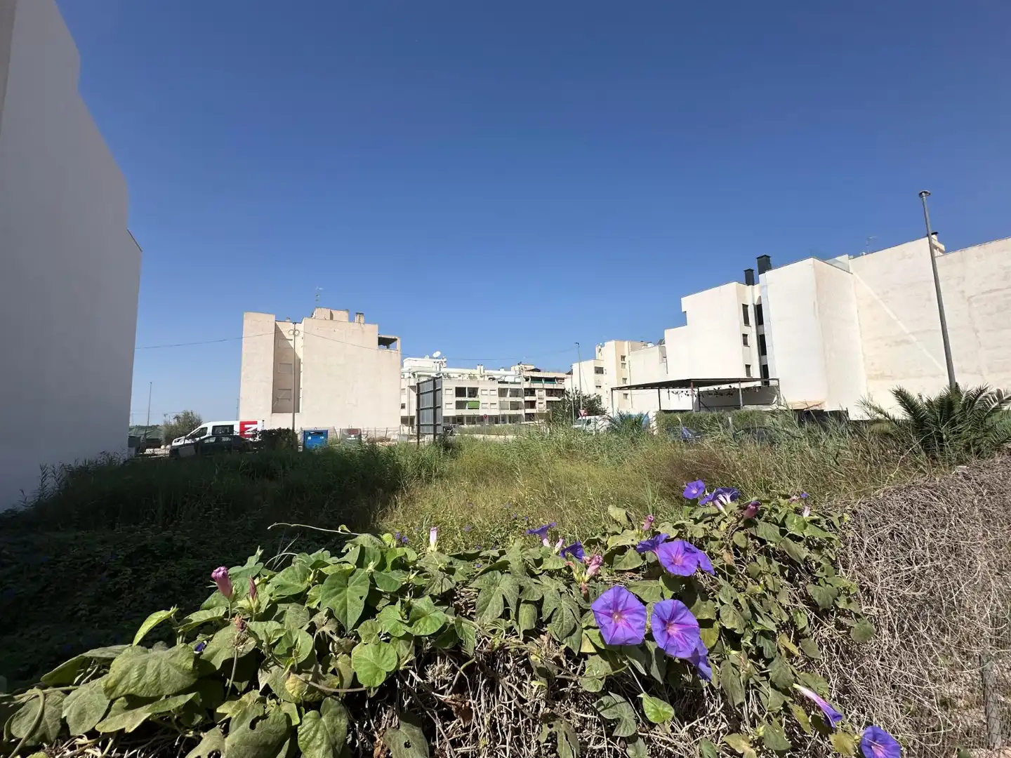 Terrenos y solares en venta en Formentera del Segura, imagen 9