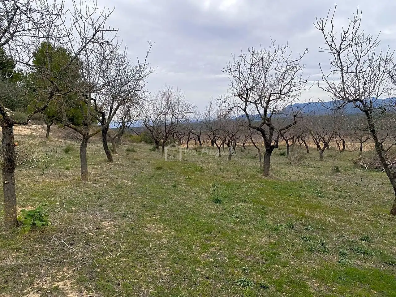 Terrain rustique à vendre à PLANELLES, imagen 26