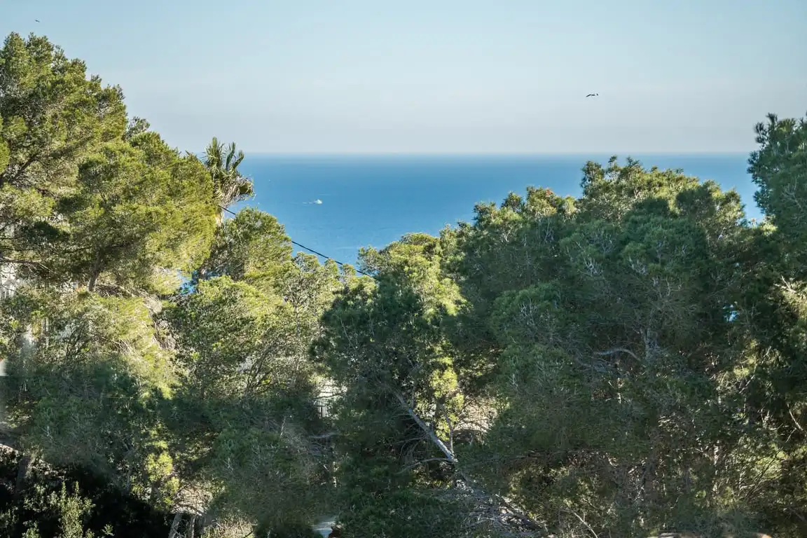 Maison à vendre à La Granadella  - Costa Nova, imagen 7