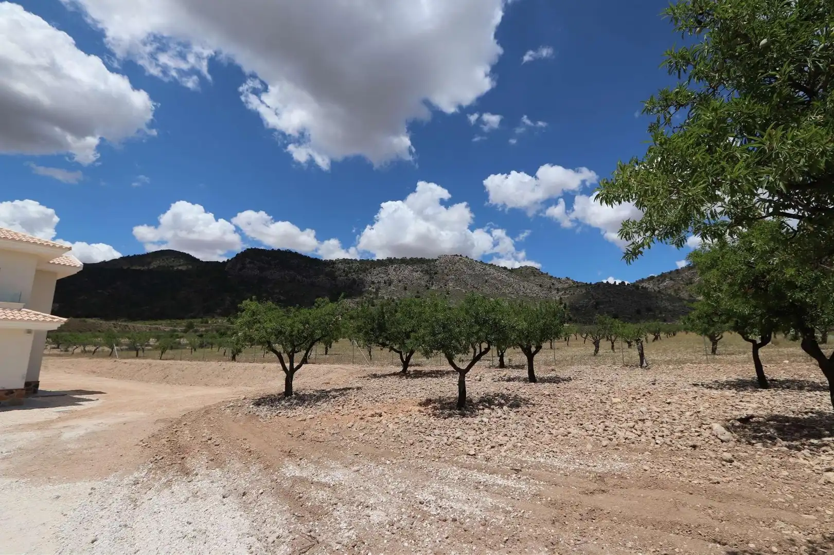 Chalet en venta en El Pinós / Pinoso, imagen 40