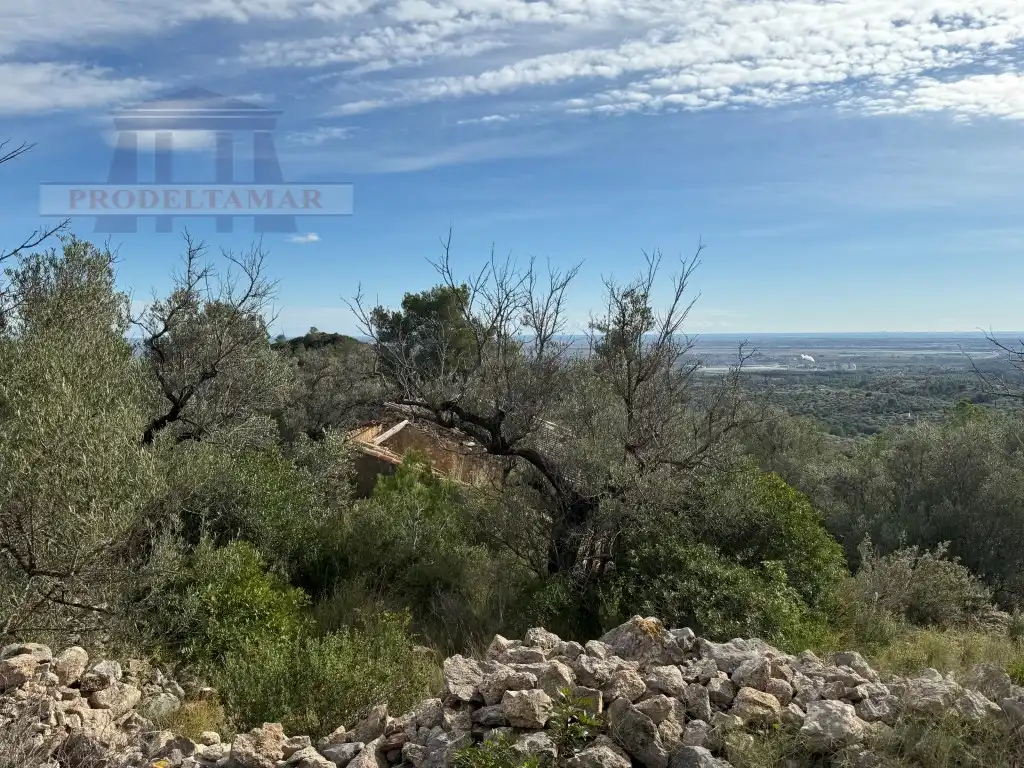 Country house for sale in Poligono 82 Paraje 6 Camp-Redo, imagen 28