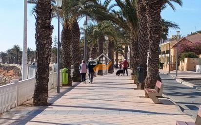 Vista exterior de Dúplex en venda en Pilar de la Horadada amb Terrassa i Balcó