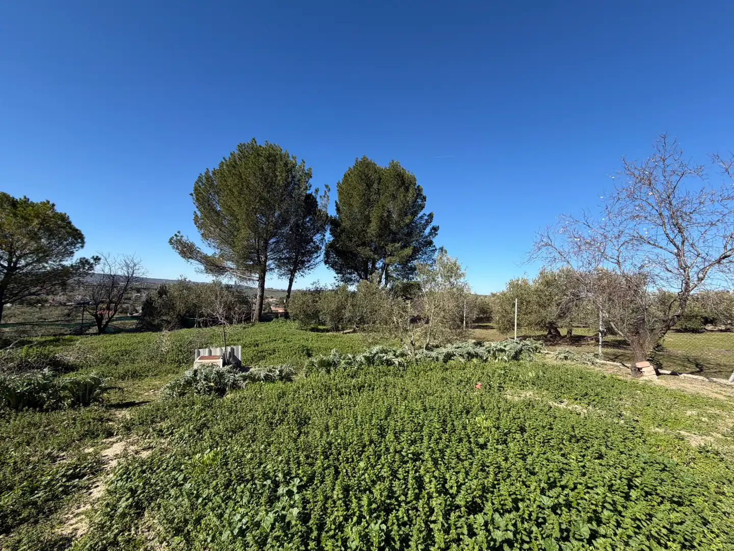 Terreny en venda en Úbeda