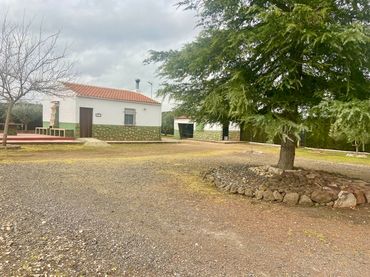 Xalet amb jardí en venda a Calle Poblado Vicario