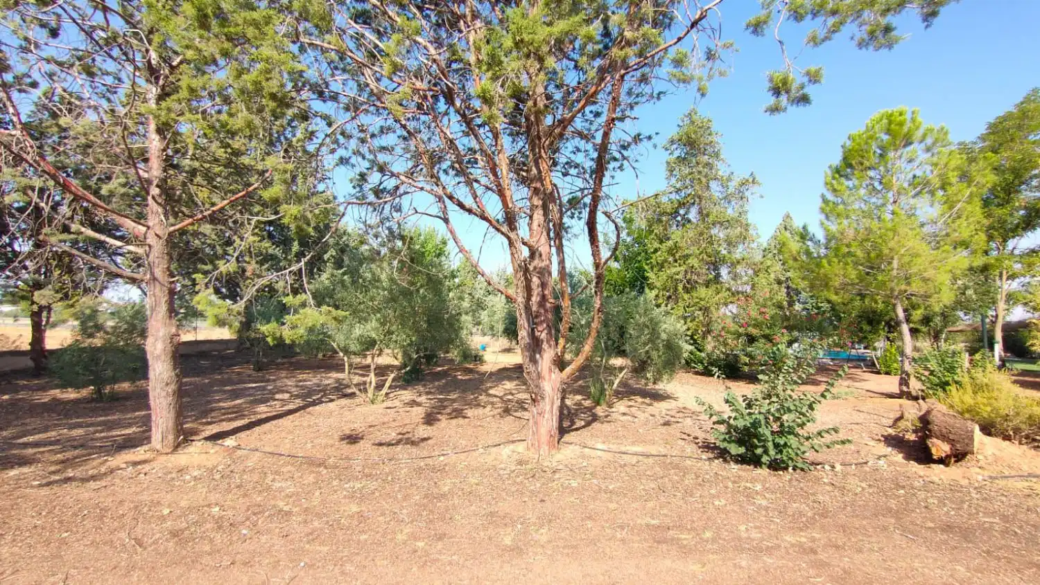 Casa rústica en venda a Valdepeñas, imagen 21