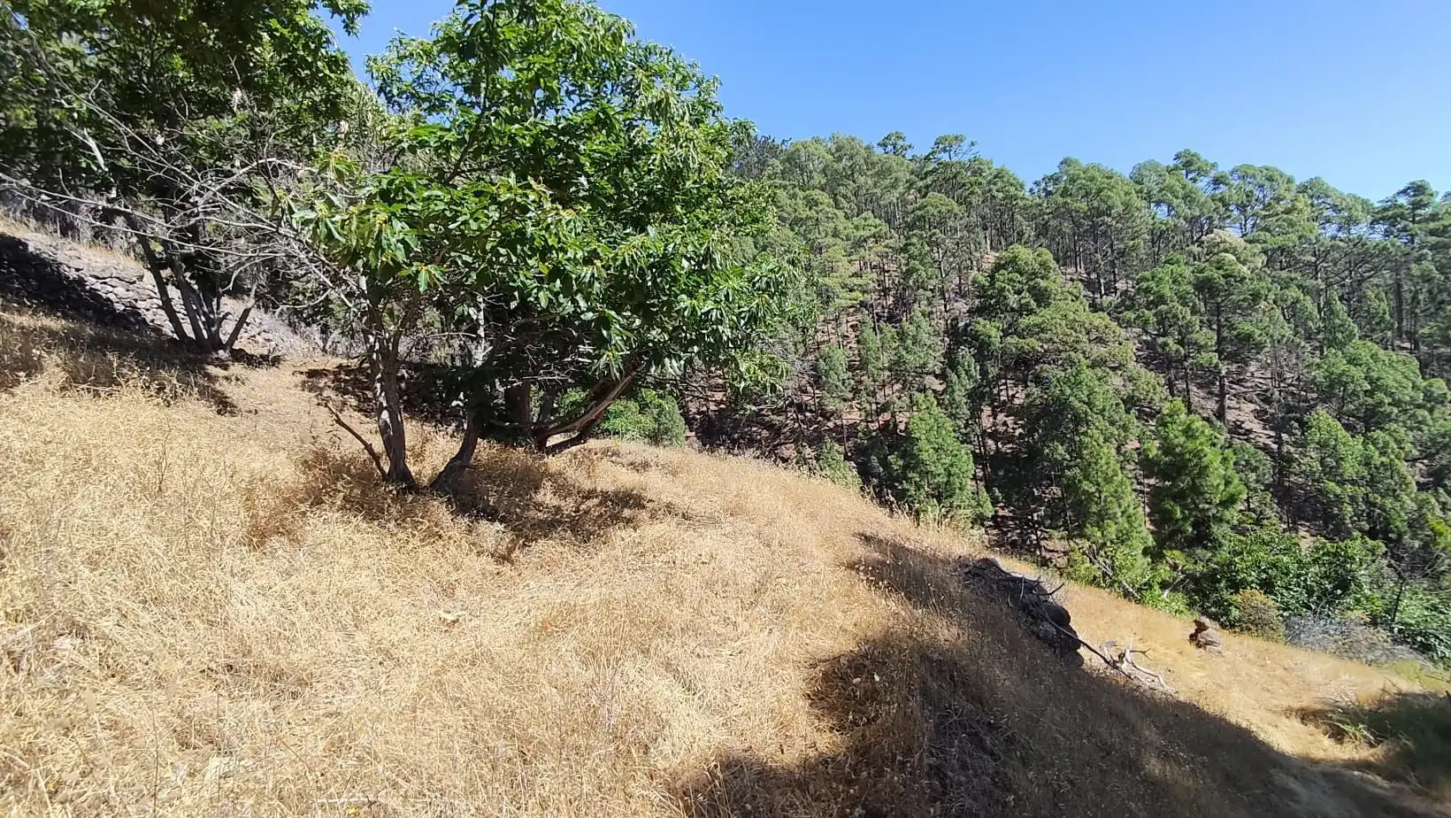 Rural land for sale in Machado - Las Barreras, imagen 9