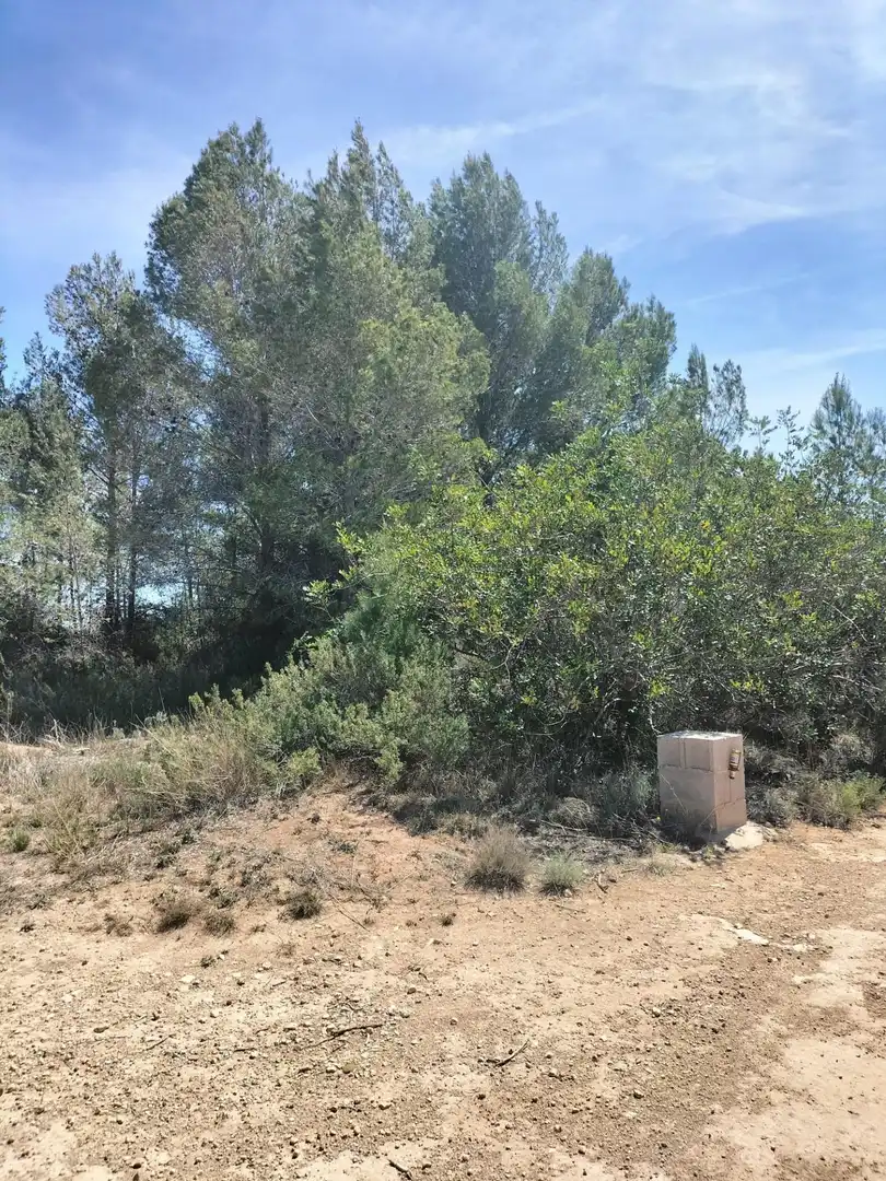 Terreno rustico in vendita a Navarrés, imagen 6