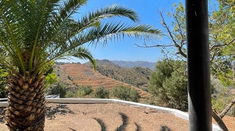 Casa de campo en venta Canillas de Aceituno con Terreno de 15.300 m2 y Casa de 160 m2., imagen 3