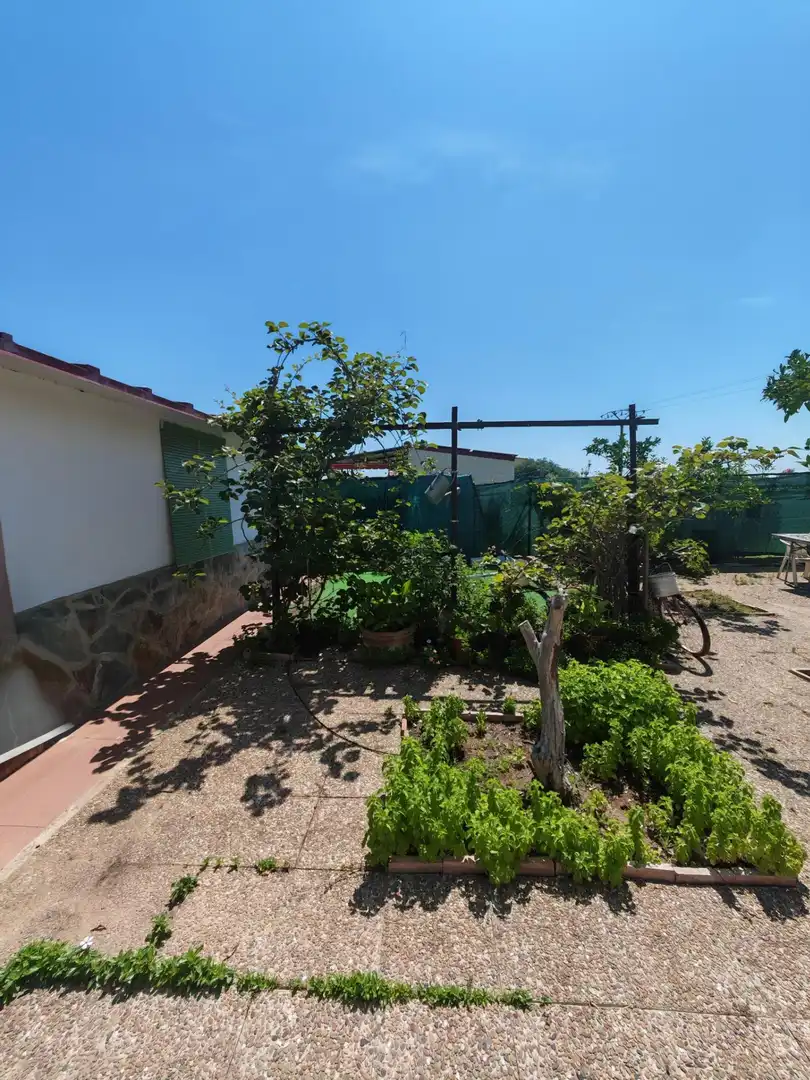 Jardín de Casa o chalet en venta en Don Benito con Trastero y Piscina