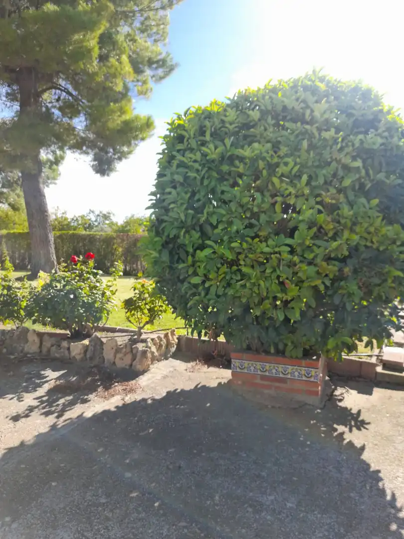Chalet en venta en Pedanías - Extrarradio, imagen 44