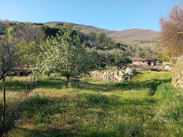 Terreno rústico en venta en Valverde de la Vera