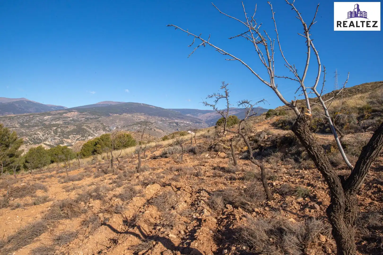 Terrain rustique à vendre à Alcolea, imagen 6