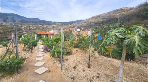 Foto 5 de Finca rústica en venda a Calle Morro Blanco, Centro, Santa Cruz de Tenerife
