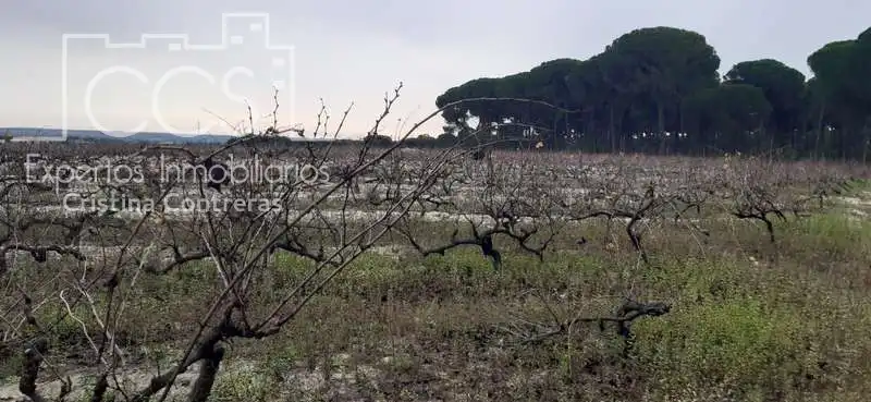 Terreni e lotti in vendita a Almonte ciudad, imagen 5