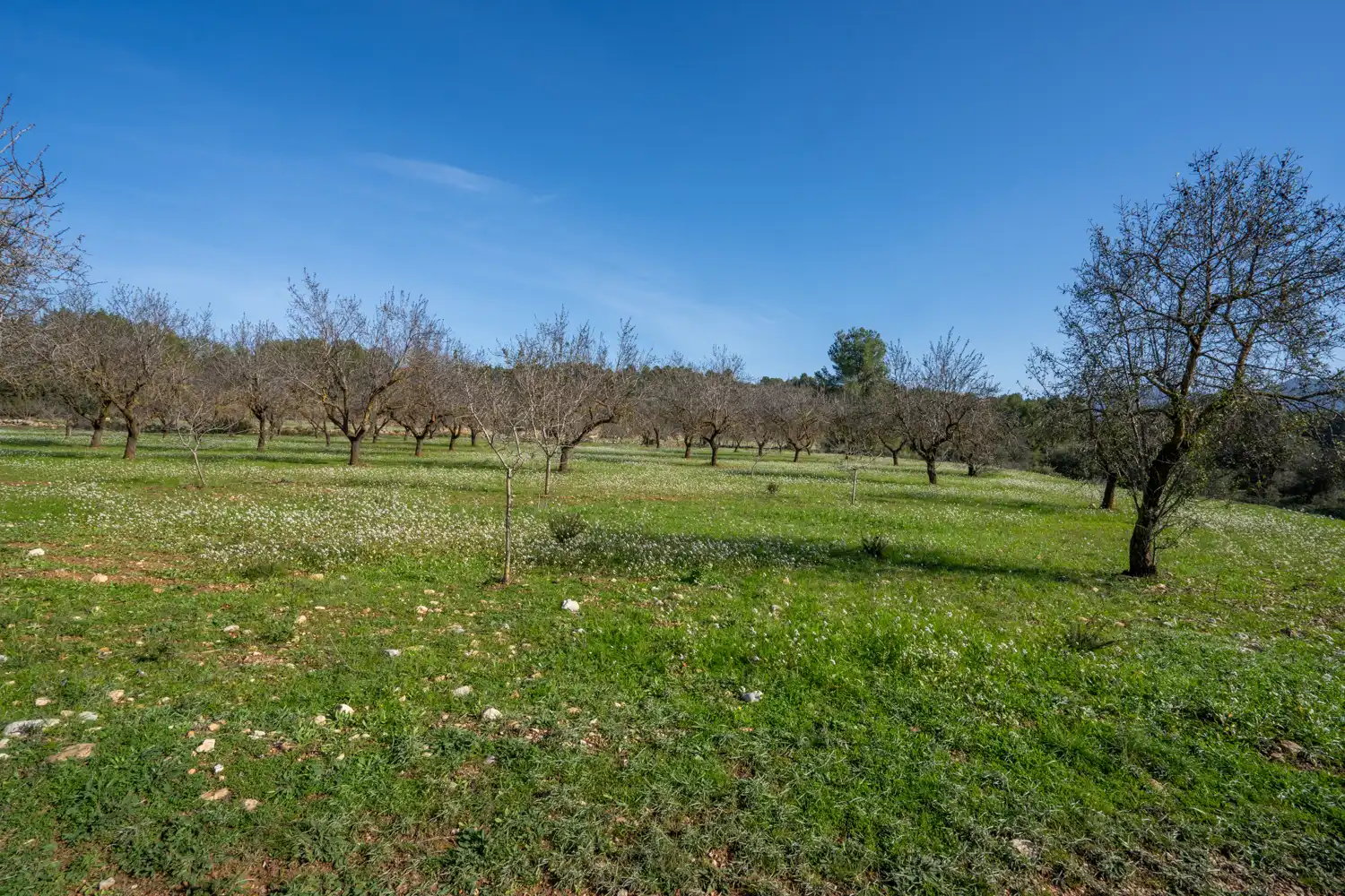 Rural land for sale in Horta de Sant Joan, imagen 2