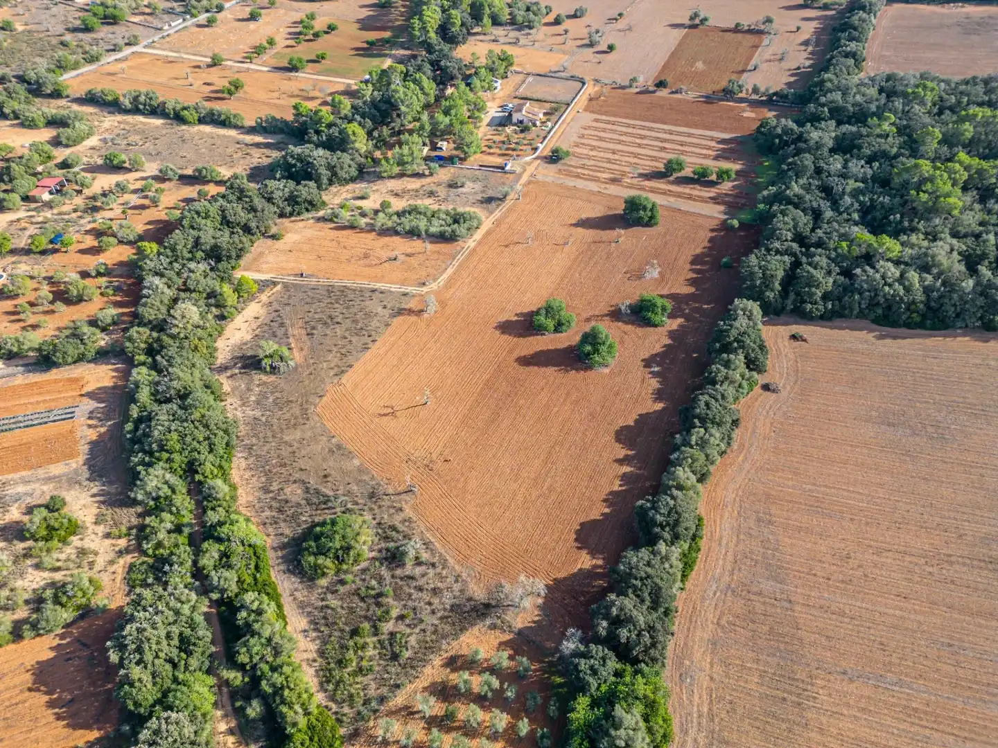 Wohnbaugrundstück zum Verkauf in Felanitx Poble, imagen 3