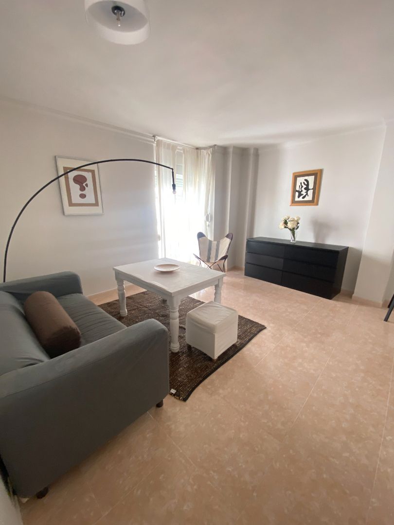 Living room of Flat to rent in Málaga Capital  with Furnished and Washing machine