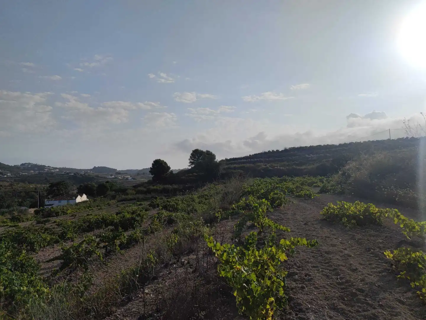 Terreny residencial en venda a Teulada, imagen 17