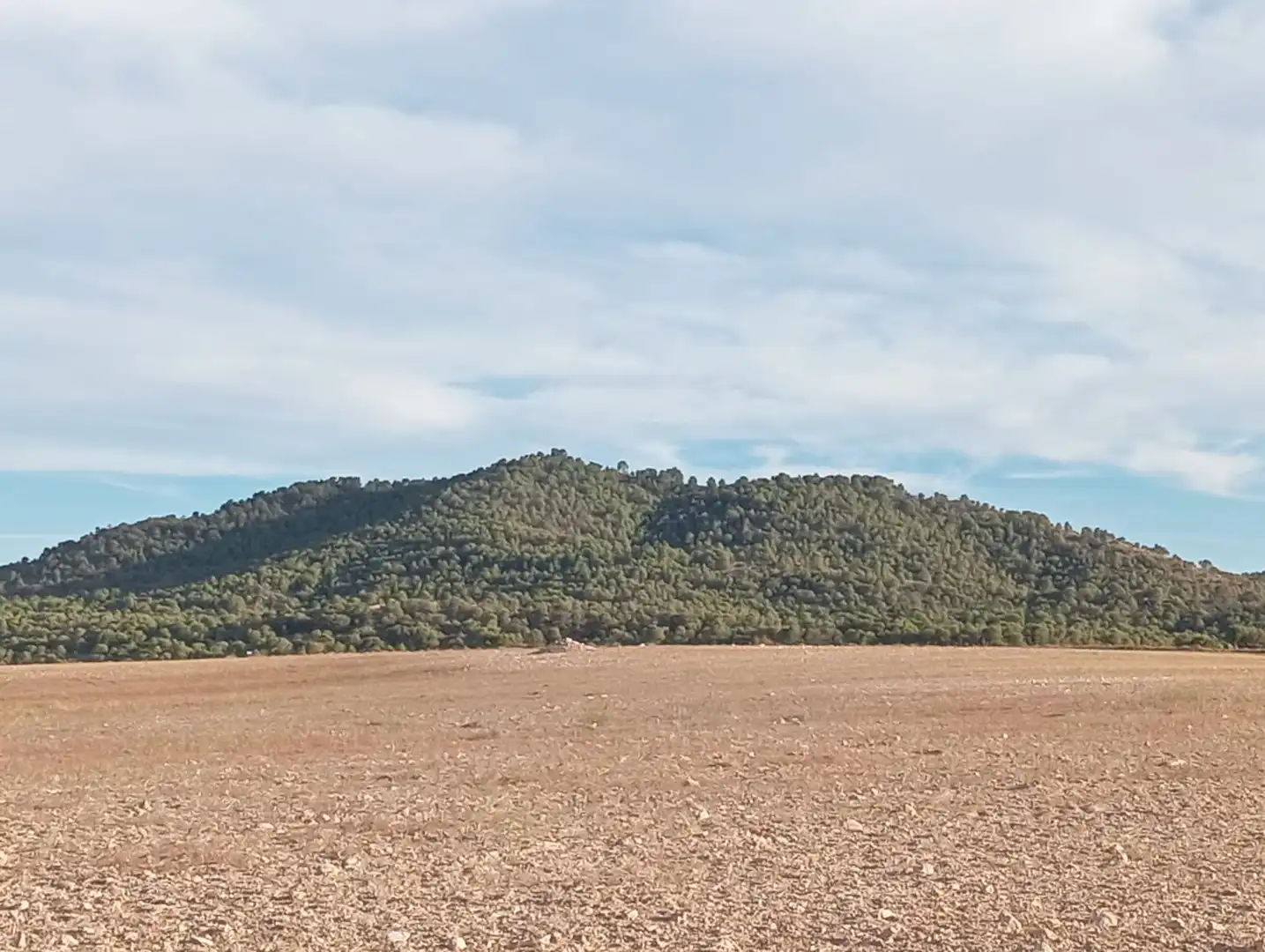 Terreny rústic en venda a N/A