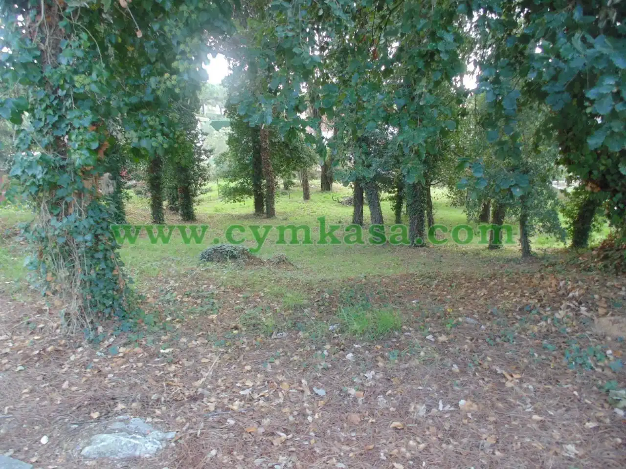 Residential land for sale in Sils
