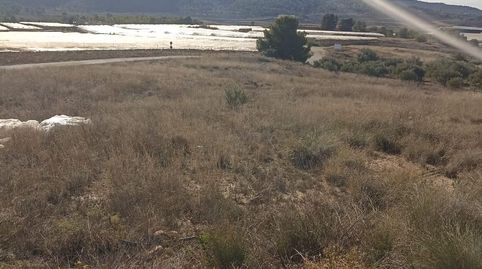 Terreno en Venta en Aledo