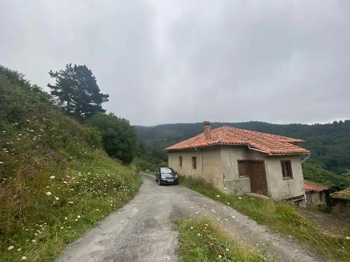 Finca rústica en venta en Salas