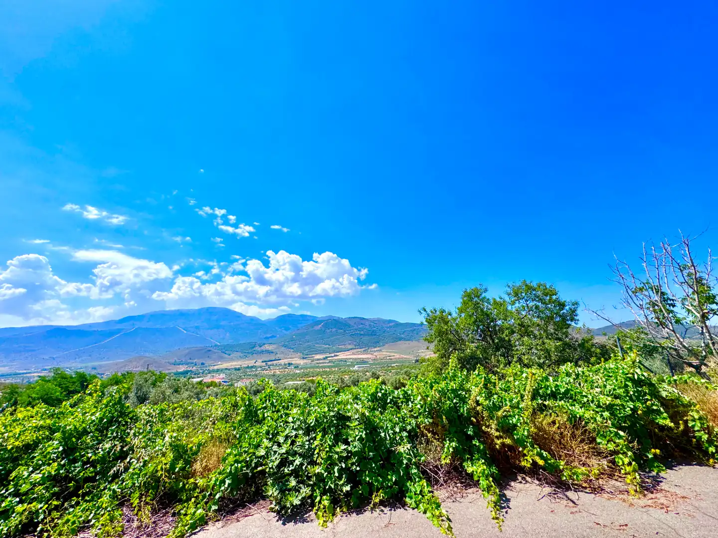 Exterior view of Houses for sale in Laujar de Andarax  with Air Conditioner, Private garden and Terrace