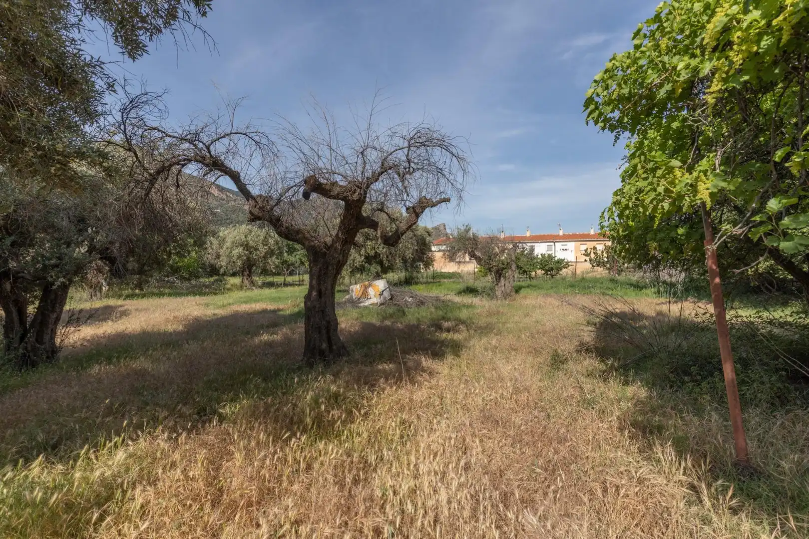 Lands and plots for sale in Carretera de Maitena, imagen 3