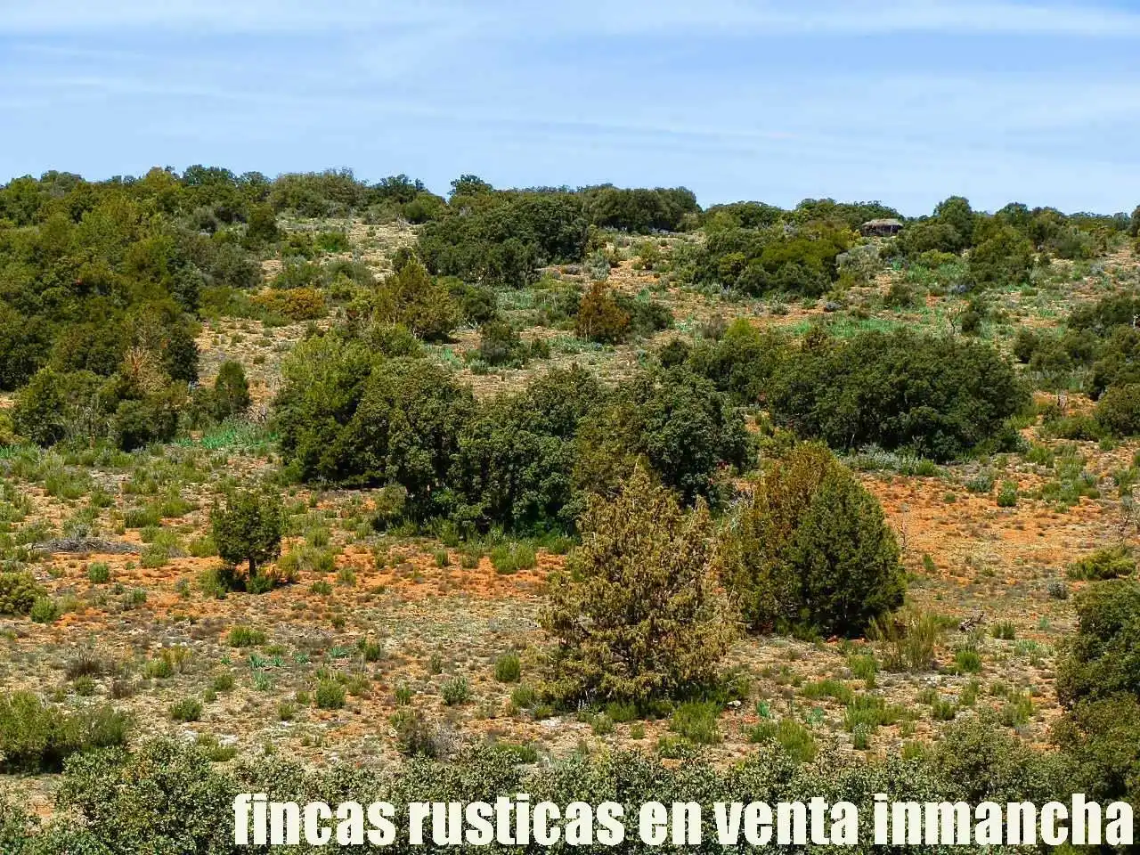 Lands and plots for sale in Ossa de Montiel, imagen 15