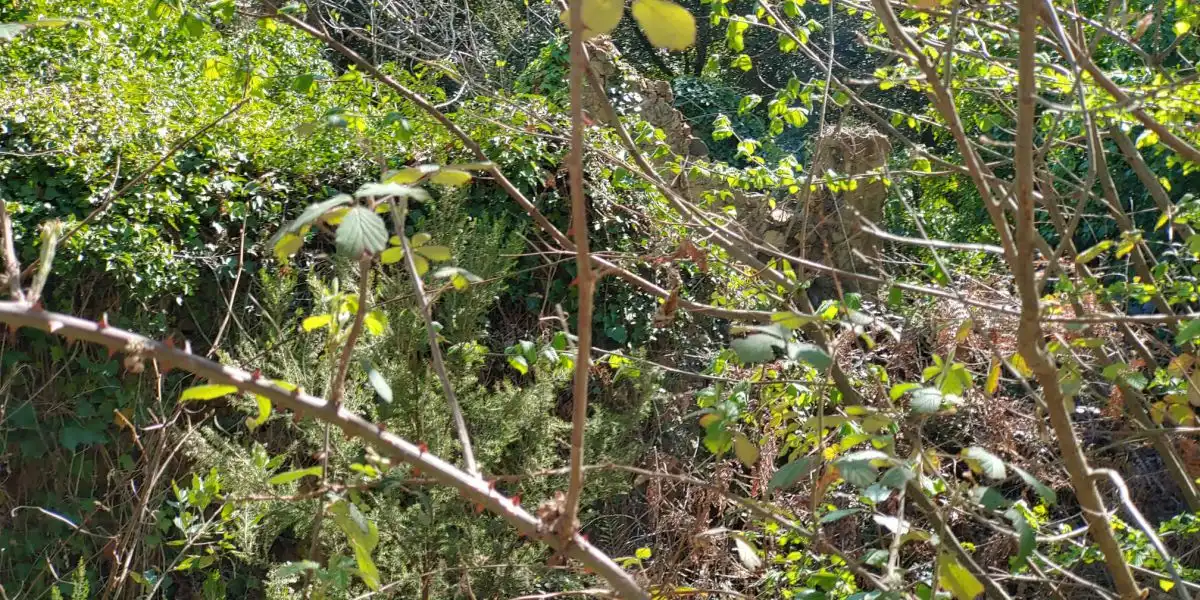 Residencial en venda en Susqueda