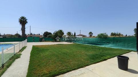 Foto 3 de Finca rústica en venta en Los Palacios y Villafranca, Sevilla