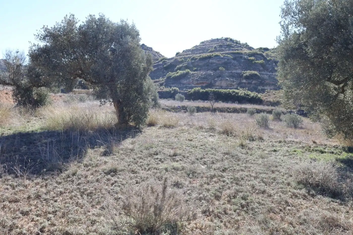 Terreni e lotti in vendita a Camino Carretera castelseras, imagen 14