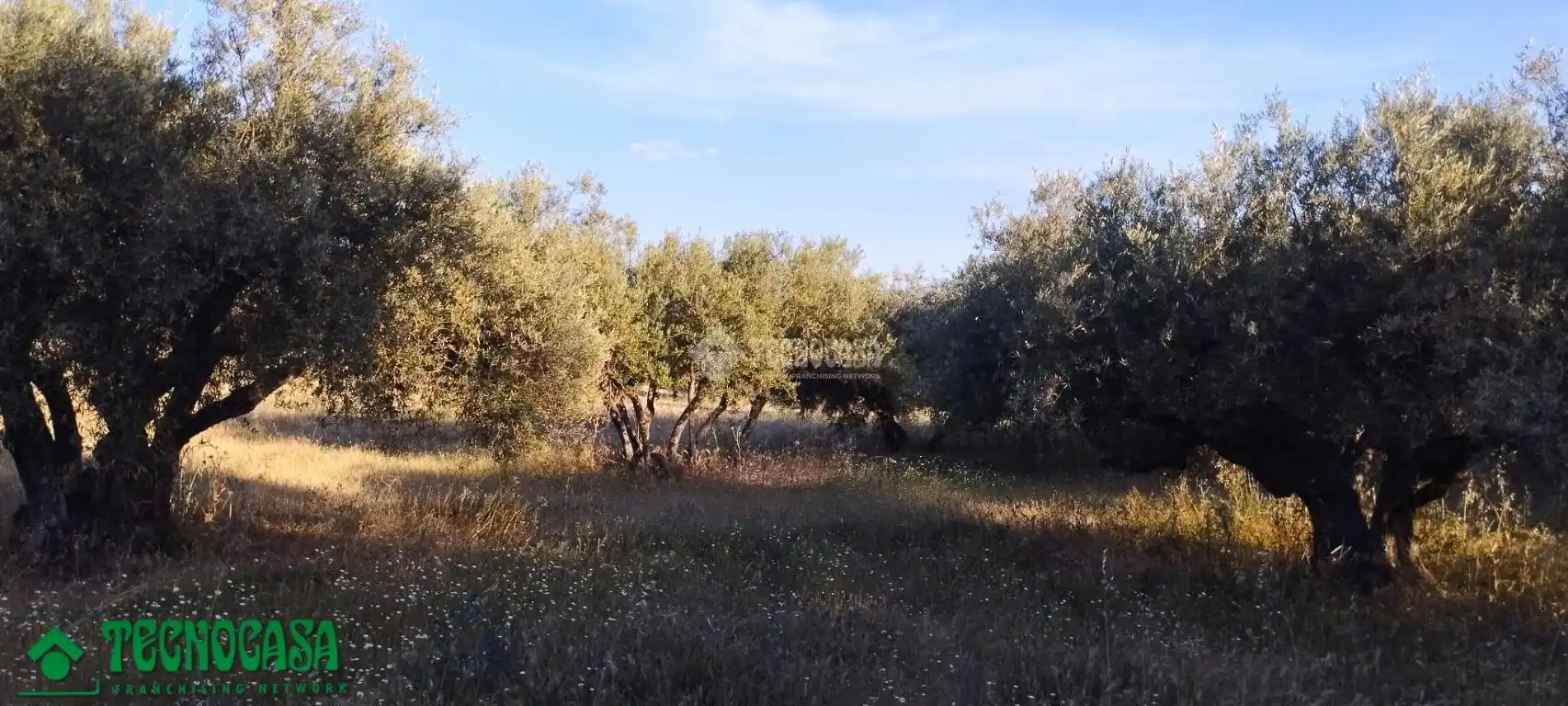 Terreni e lotti in vendita a Méntrida