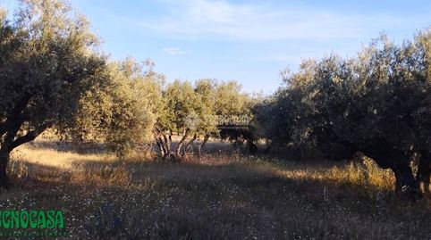Terrenos en venta en Méntrida