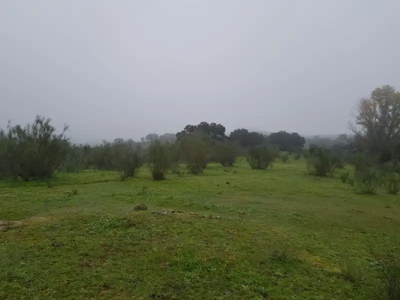 Terreni e lotti in vendita a Oliva de Plasencia, imagen 7