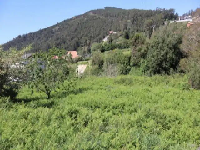 Terrain résidentiel à vendre à A Guarda, imagen 3