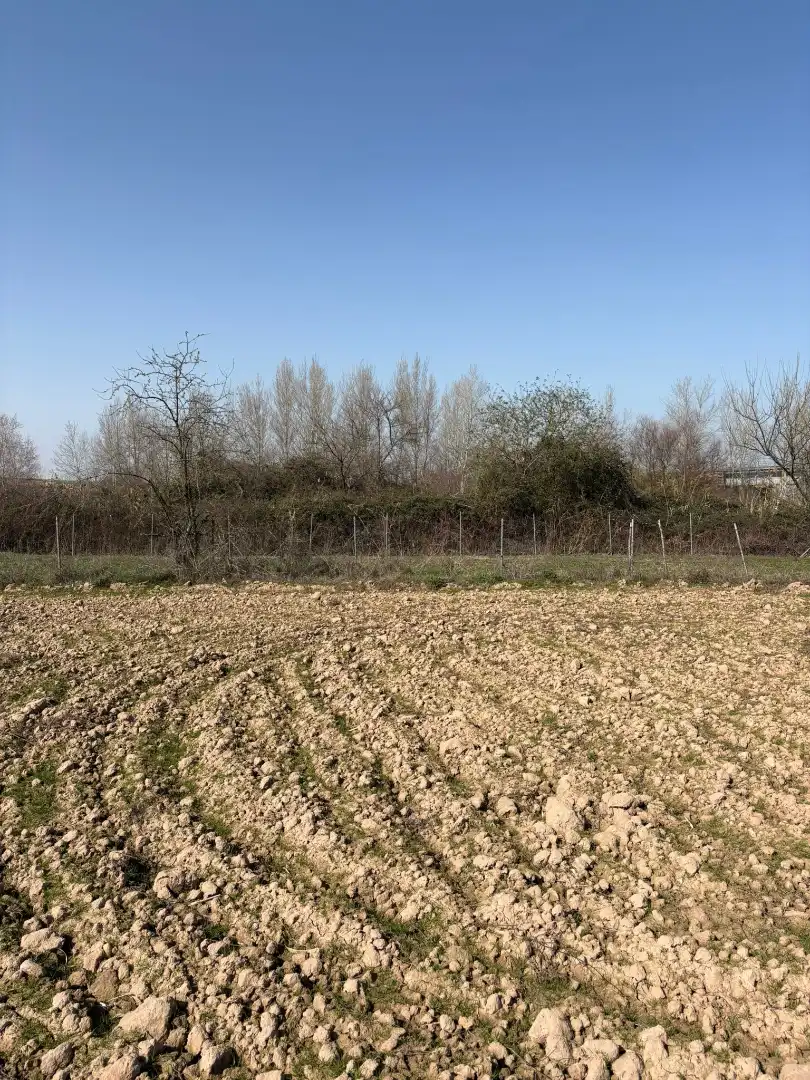 Rural land for sale in Agoncillo, imagen 5